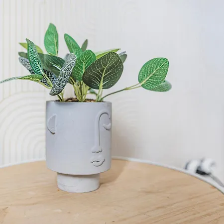 Centre - Parking - Cathedrale Apartament *